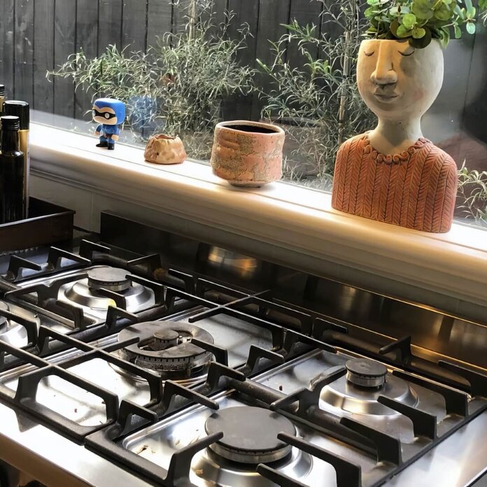 Professional Gas Technician