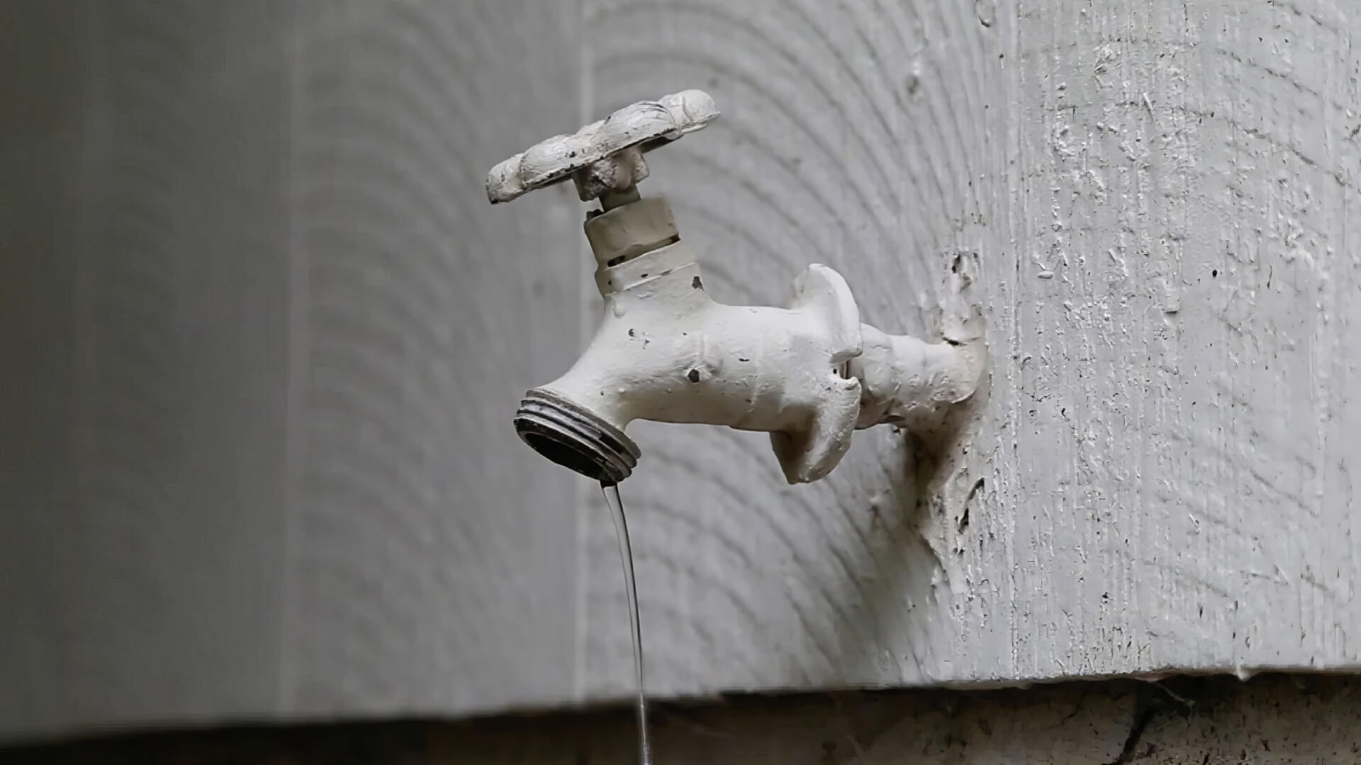 Urgent Sewer Service